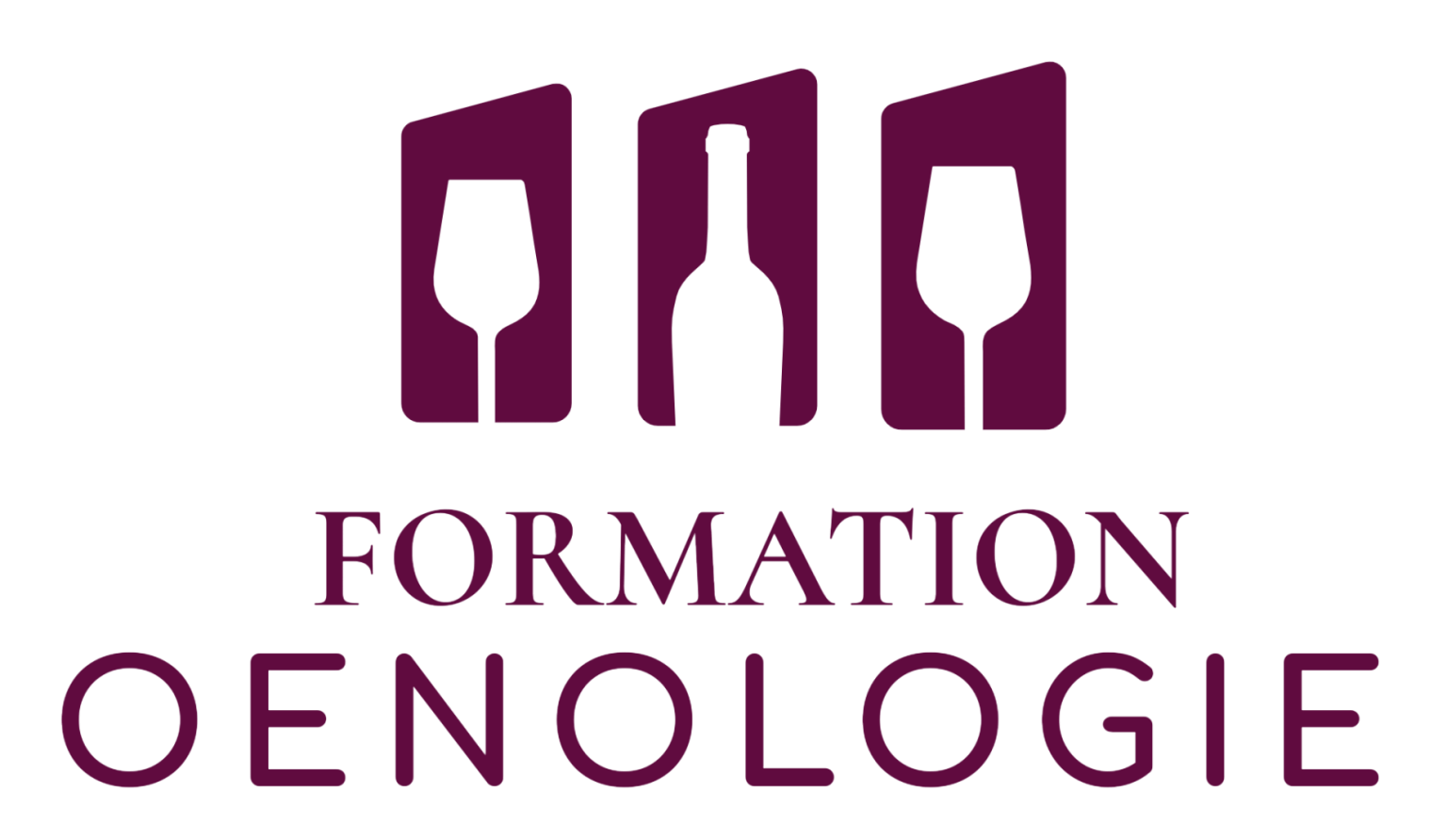 Formation Œnologie : découvrez nos Programmes Formation Vin